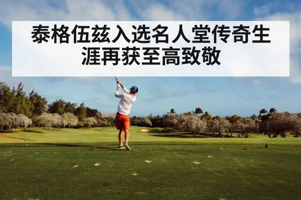 泰格伍兹入选名人堂传奇生涯再获至高致敬