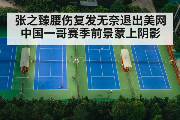 张之臻腰伤复发无奈退出美网 中国一哥赛季前景蒙上阴影