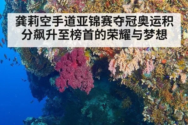 龚莉空手道亚锦赛夺冠奥运积分飙升至榜首的荣耀与梦想